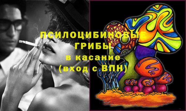 МДПВ Няндома