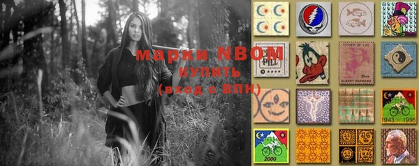 МДПВ Няндома